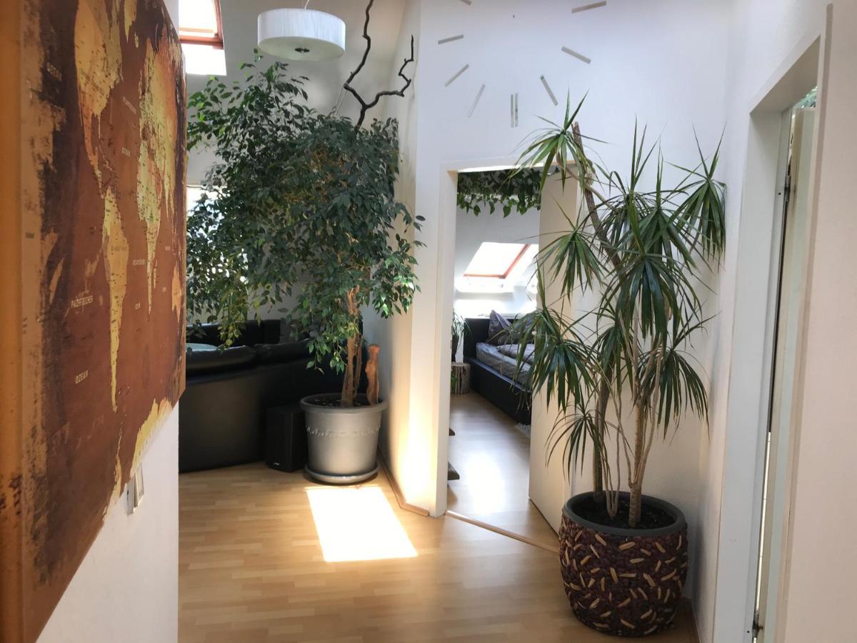 Stadtdschungel Fewo Mit Balkon コットブス エクステリア 写真